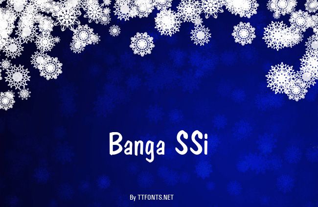 Banga SSi example